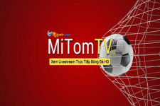 Mitom TV1 - Địa Chỉ Uy Tín Dành Cho Tín Đồ Môn Thể Thao Vua